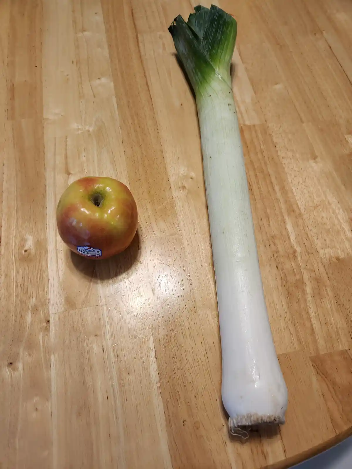 Check Out This Gigantic Leek!