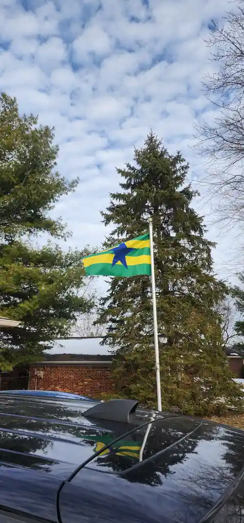 A green, yellow, and blue flag with a star flies on a pole in a yard, partially obscured by evergreen trees. The flag's…