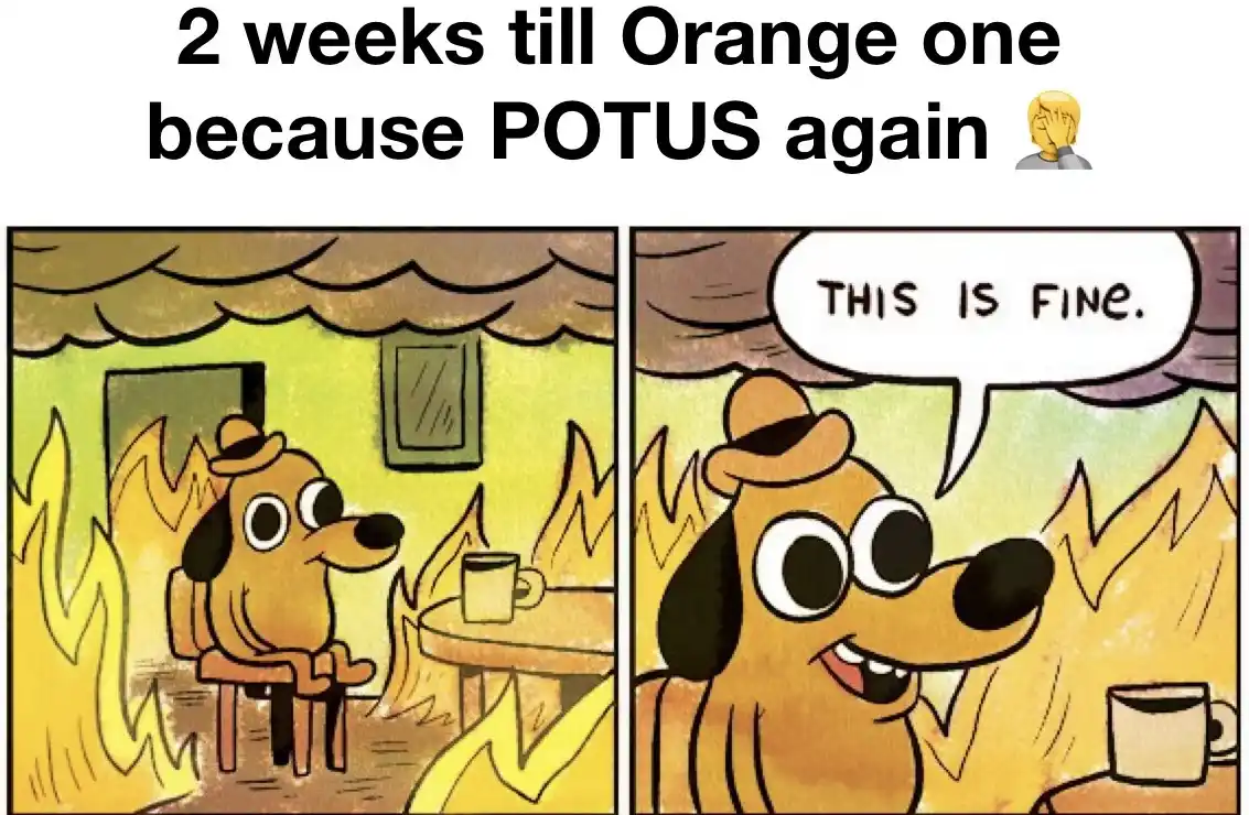 A two-panel comic strip featuring a cartoon dog sitting calmly in a room engulfed in flames. In the first panel, the dog…