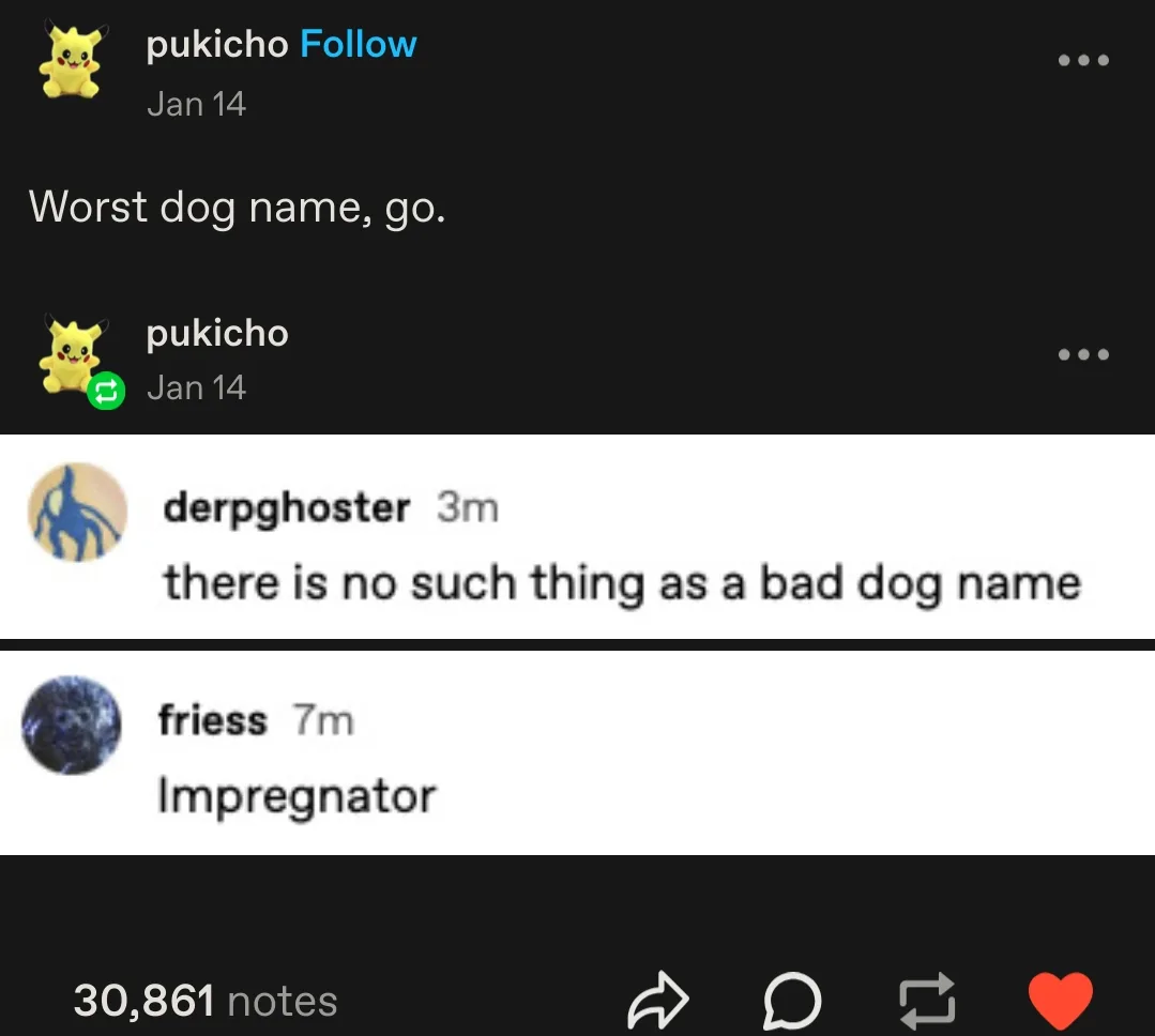 A screenshot of a social media comment thread where a user named 'pukicho' asks for the 'Worst dog name, go.' Another user…