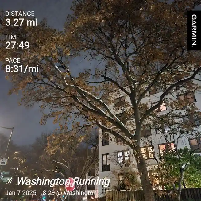 Today's Adventure: The Daily Run