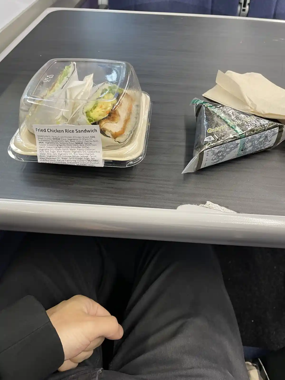 A close-up photo shows a meal tray on an airplane, featuring a clear plastic container holding a sandwich labeled 'Fried…