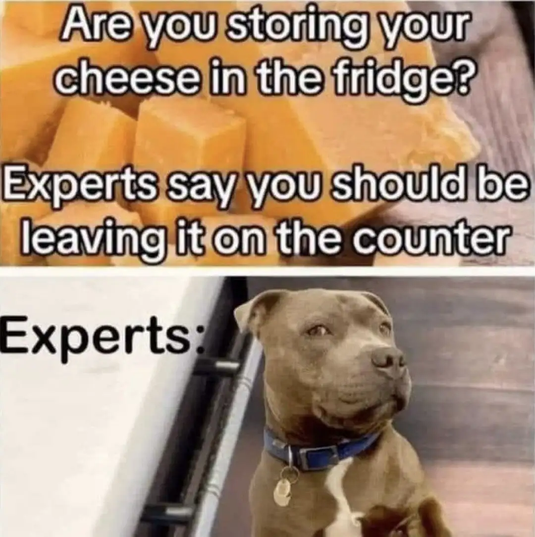 The top half shows cubed orange cheese with text asking if you store cheese in the fridge, then stating experts say to leave…
