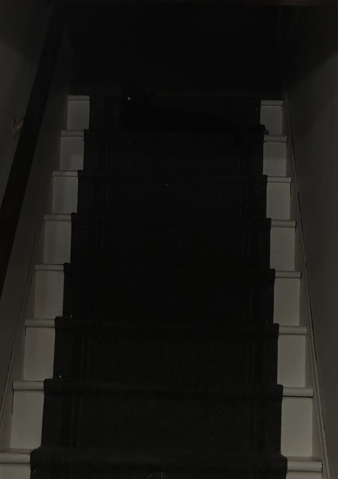 A dark, low-angle photo of a staircase with a black cat sitting at the top landing, its one glowing eye visible. The stairs…
