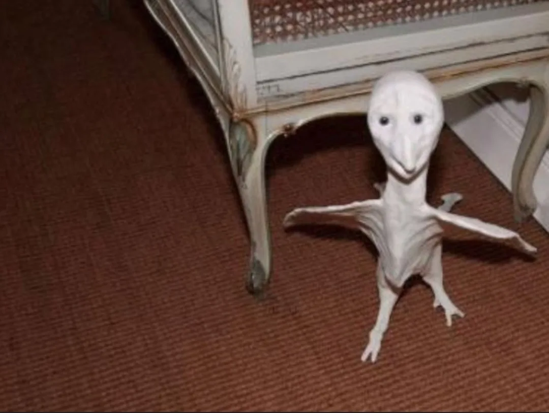 A white, bird-like creature with a long neck, large head, and outstretched wings stands on a brown carpet under a white…