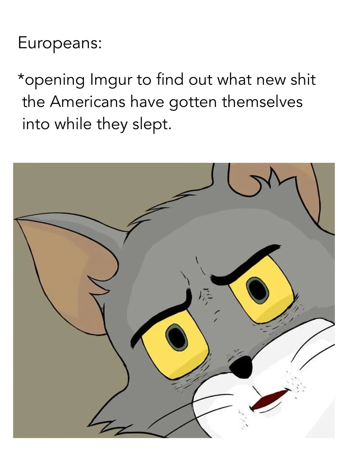 The image shows a cartoon gray cat with yellow eyes, looking annoyed and slightly smug. Above the cat, text reads…