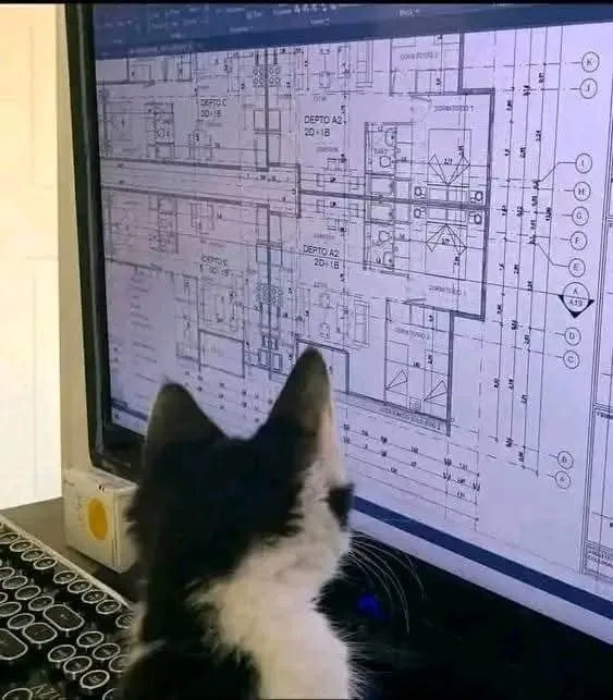 A black and white cat is seen from behind, intently staring at a computer monitor displaying detailed architectural…