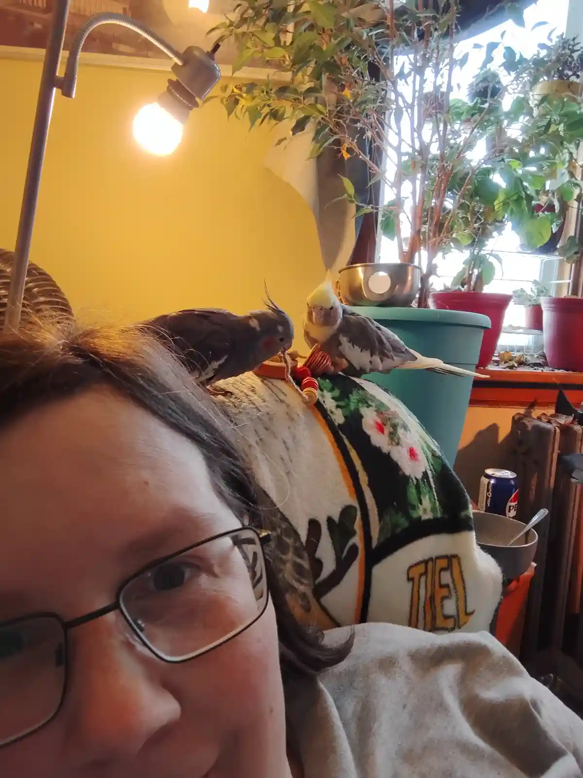 A person wearing glasses and a patterned blanket looks toward the camera while two cockatiels perch on their shoulder and…