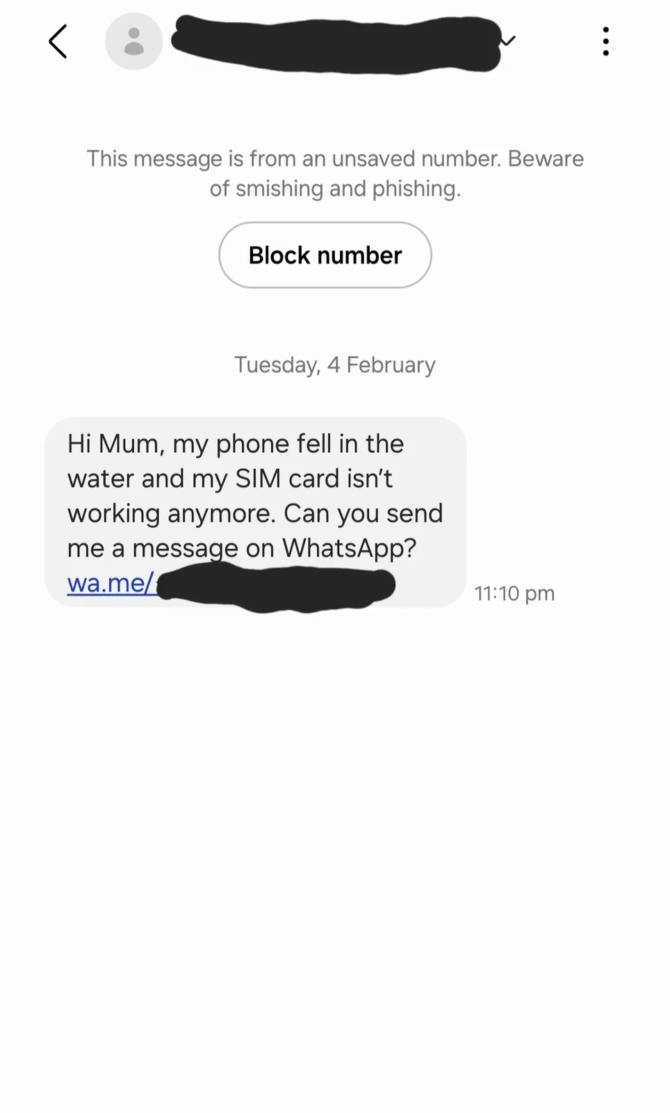 Let's Have Some Fun and Mess with a Scammer!