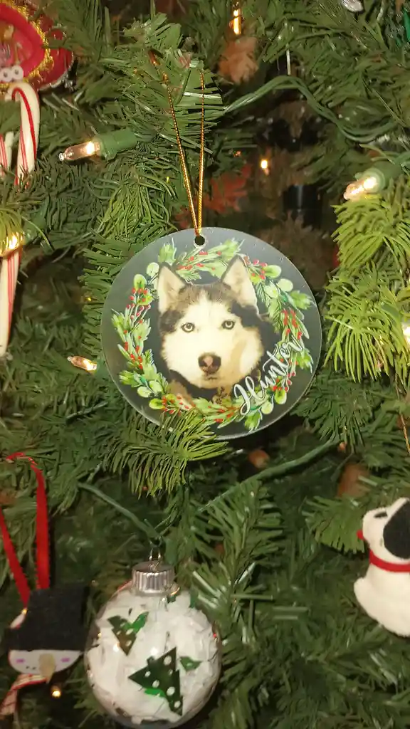 A close-up of a Christmas tree ornament featuring a portrait of a husky dog named 'Hunter', framed by a green wreath with…