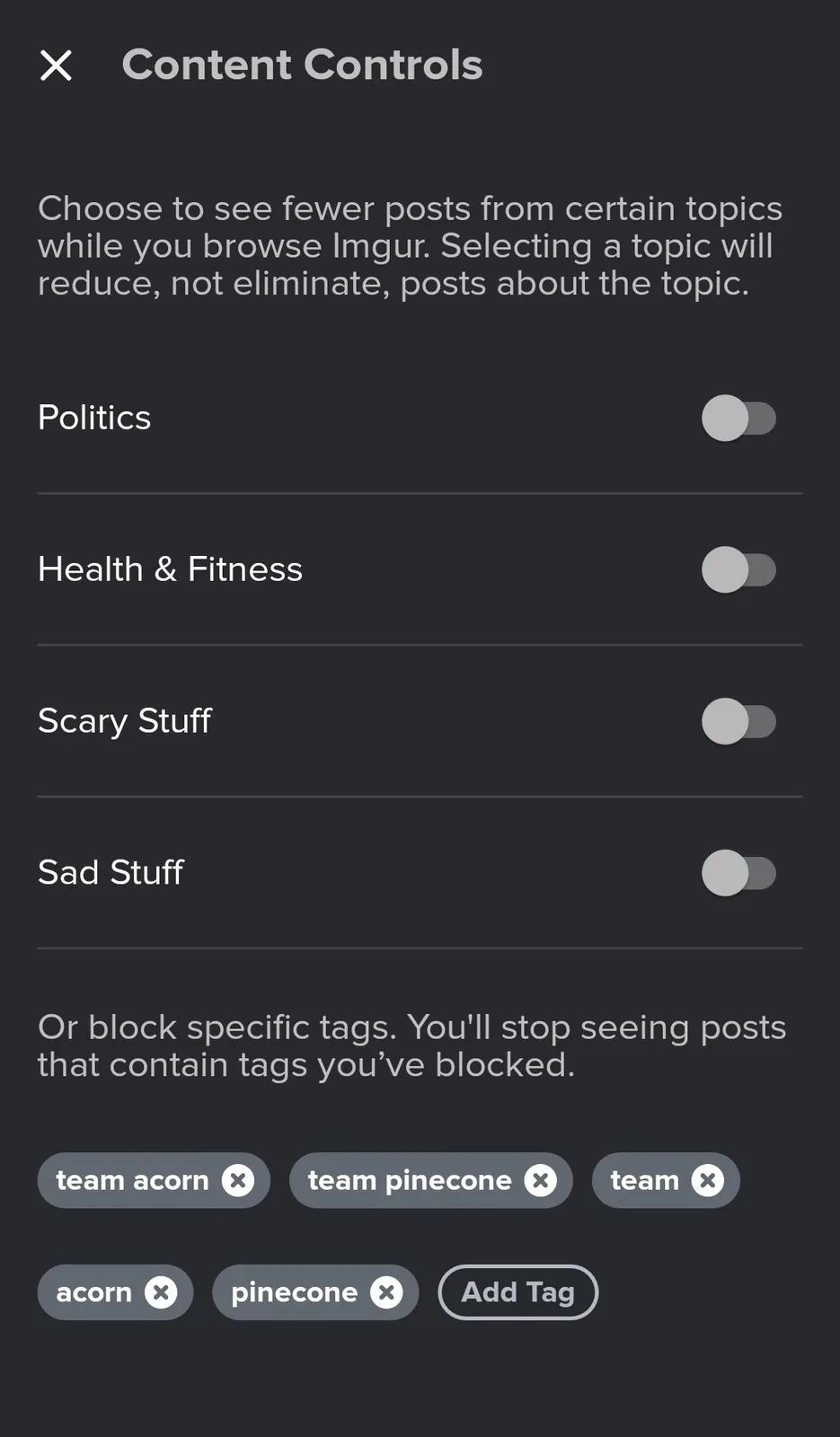 A screenshot of Imgur's Content Controls settings page, showing toggles for 'Politics', 'Health & Fitness', 'Scary Stuff'…