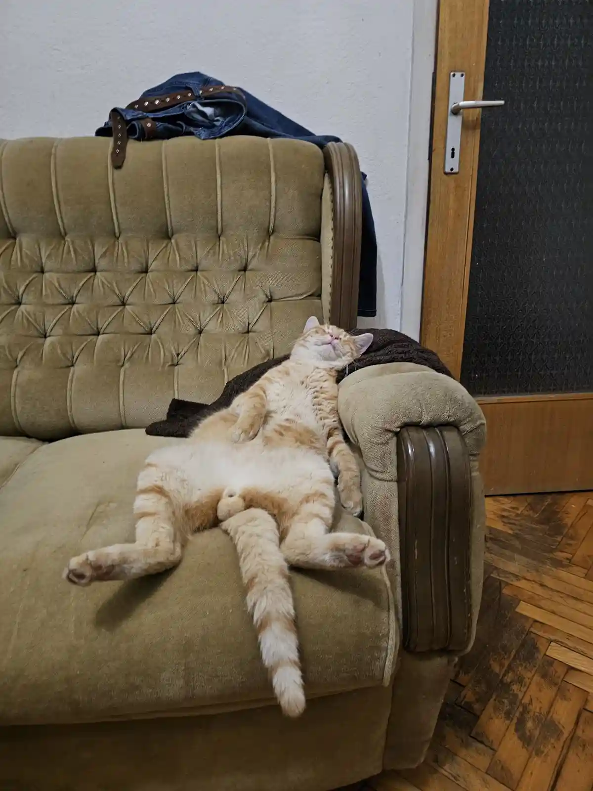 An orange tabby cat is lying on its back on a brown tufted couch, belly exposed and paws relaxed, with a dark blanket…