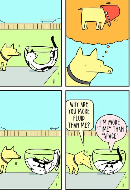 A four-panel comic strip shows a dog watching a cat in a fishbowl. The dog thinks about pouring a bucket of water on the…