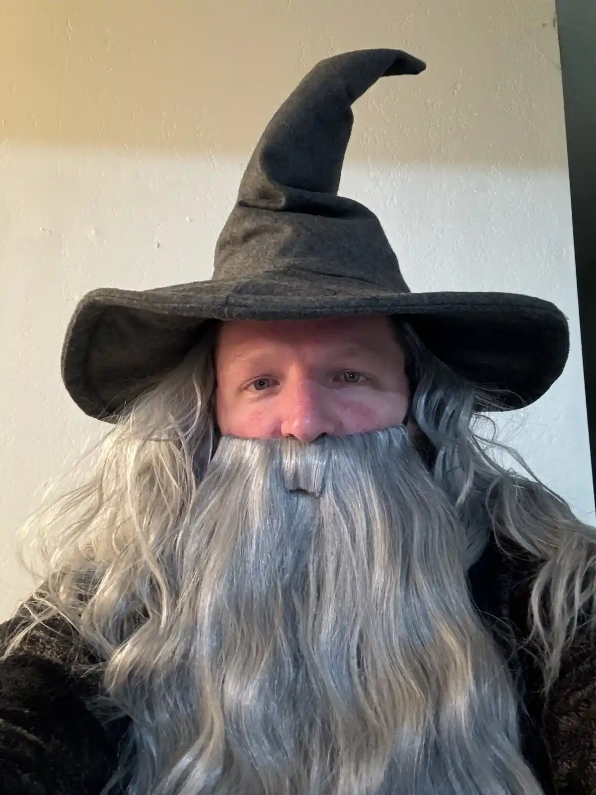 A person wearing a tall, pointed wizard's hat and a long, gray synthetic beard that covers their mouth and chin, with only…