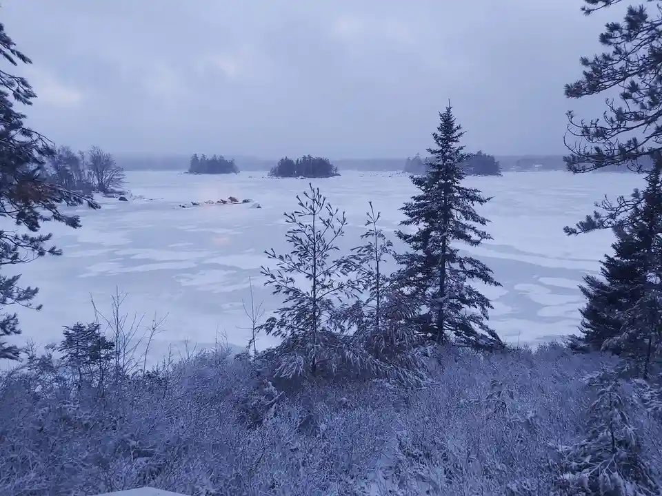 A snowy, frozen lake scene with evergreen trees in the foreground and distant tree-covered islands under an overcast sky…