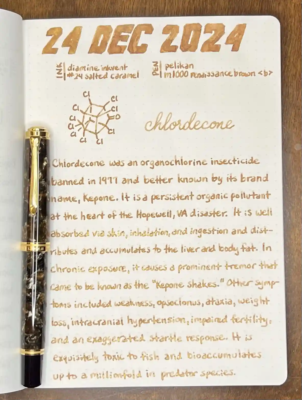A notebook page dated 24 DEC 2024 features a detailed handwritten entry about chlordecone, including its chemical structure…