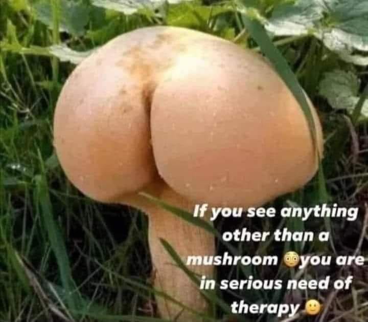 A close-up photo of a light brown mushroom growing in grass, its cap shaped like a human buttocks. White text overlaid on…