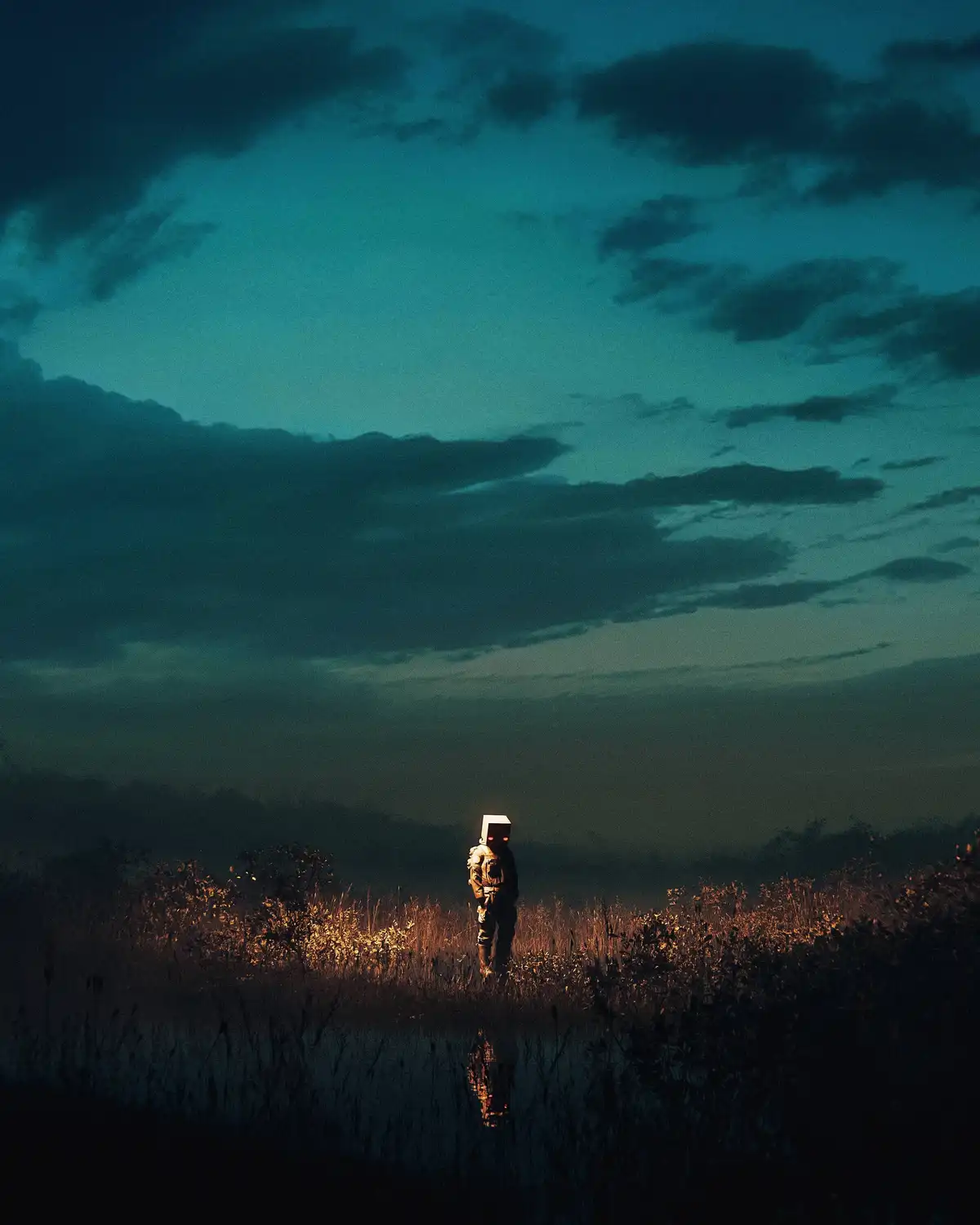 The Journey of a Field Wanderer by Huleeb