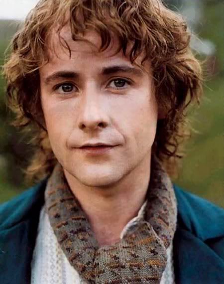 A close-up of actor Elijah Wood as Frodo Baggins from 'The Lord of the Rings,' looking directly at the camera with a neutral…