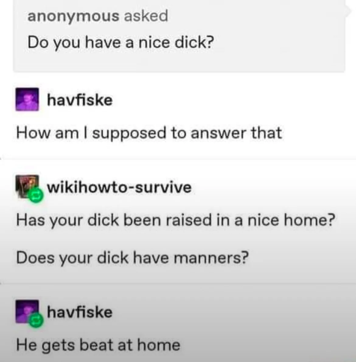 A screenshot of a text conversation where an anonymous user asks if someone has a 'nice dick'. The user 'havfiske' is…