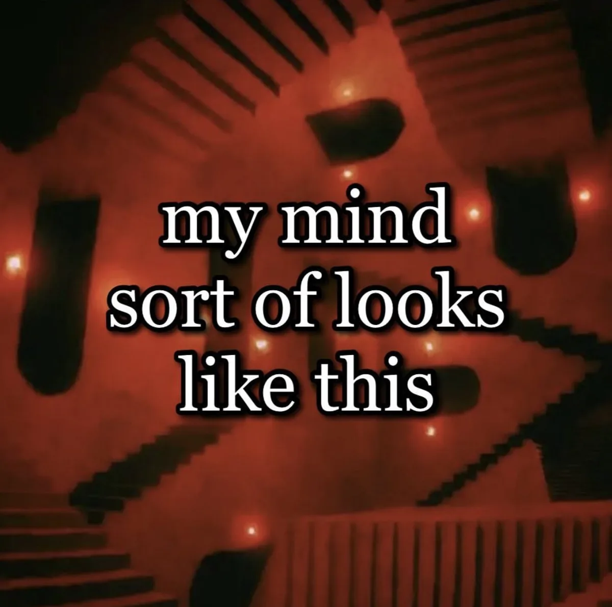 The Mysterious Dump #256: What Lies Within?