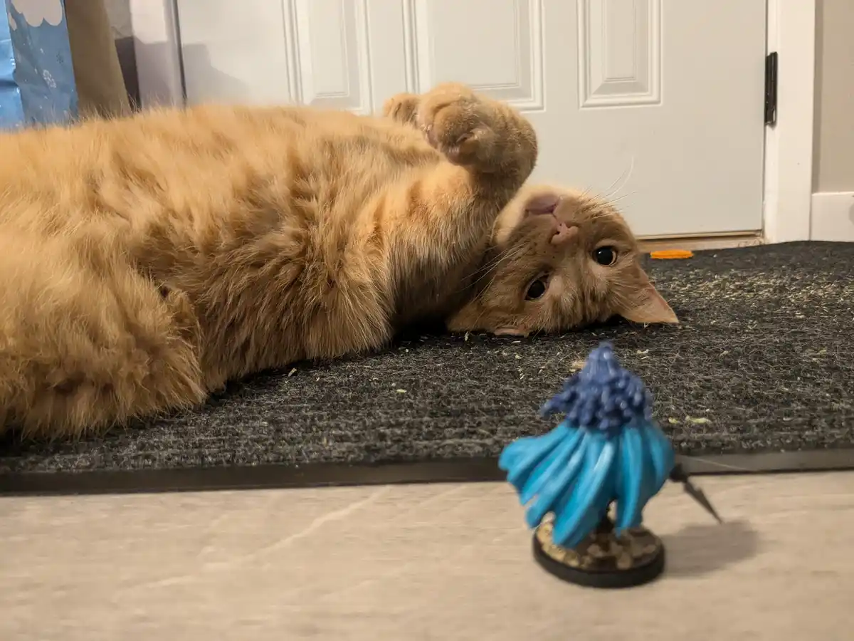 A fluffy orange tabby cat lies on its back on a dark doormat, looking up at a small blue fantasy miniature figure standing…