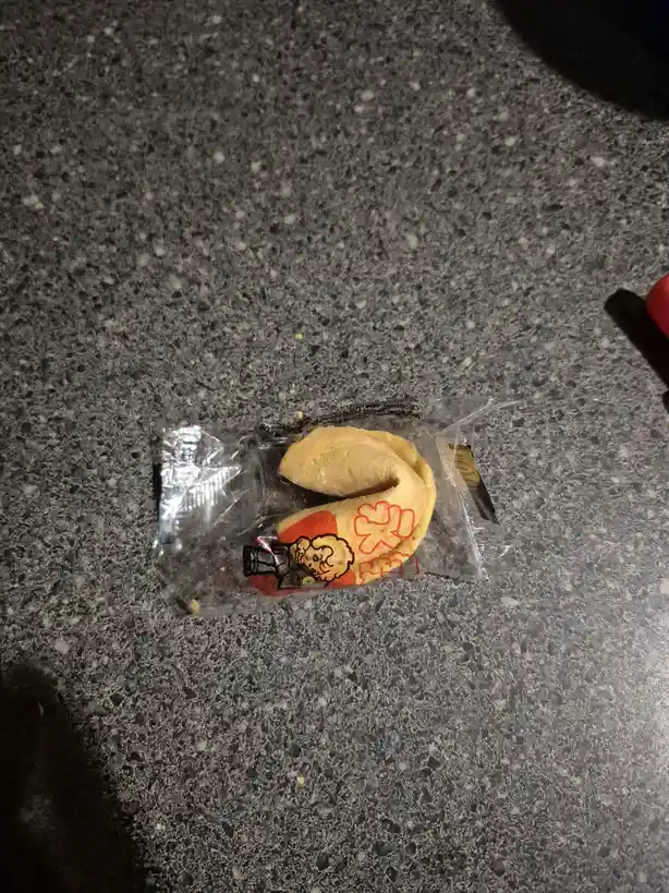 A single fortune cookie in its clear plastic wrapper rests on a speckled gray countertop. The cookie is partially open…