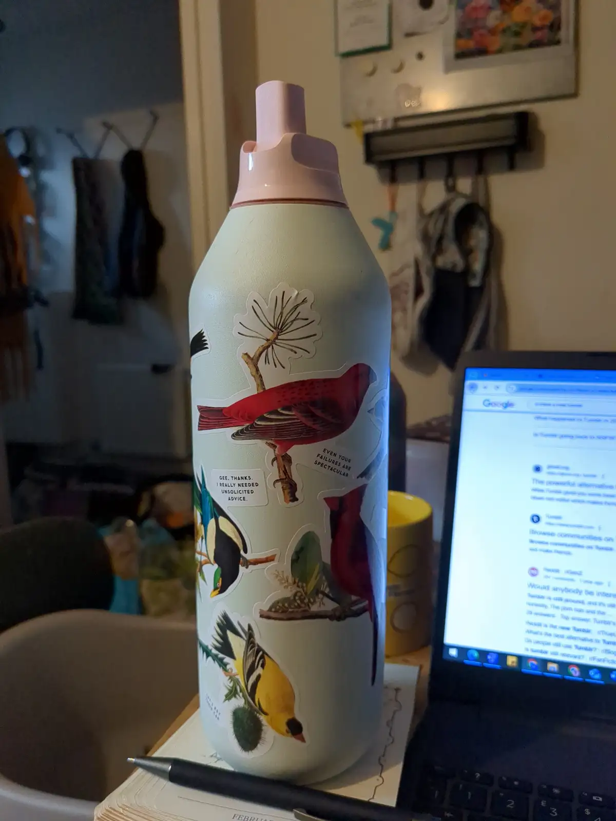 A light green water bottle with a pink lid sits on a desk next to a laptop displaying a Google search for Tumblr…