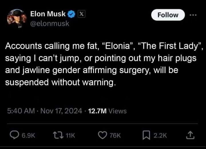 A screenshot of a tweet from Elon Musk's verified X account, dated November 17, 2024, which states that accounts making…