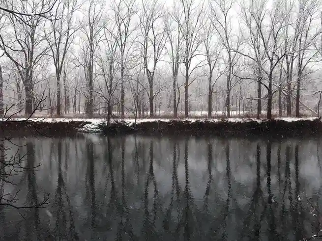A snowy winter scene showing bare trees lining a calm river, with their dark silhouettes reflected in the water. Snowflakes…