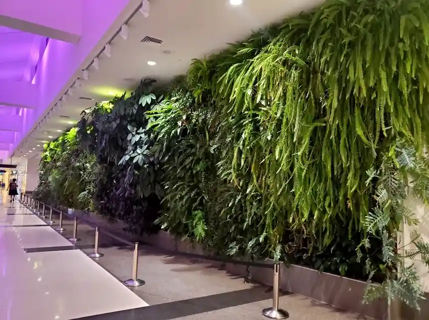 a long indoor corridor features a massive vertical garden wall covered in lush green ferns and other foliage, with polished…