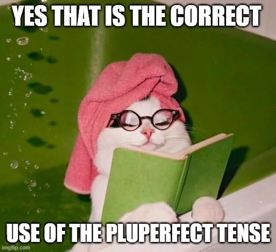 A white cat wearing round glasses and a pink towel on its head is sitting in a green bathtub, holding a green book open. The…