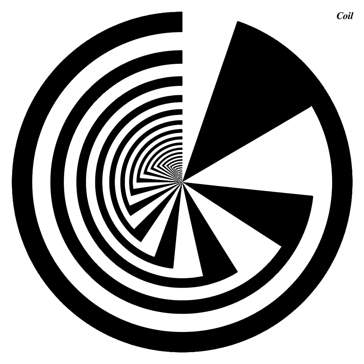 A black and white optical illusion image showing a spiral pattern on the left side and a pie chart-like pattern on the right…