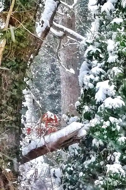 A snowy forest scene with snow-covered trees and branches, where a small, reddish-brown object resembling a snowman is…