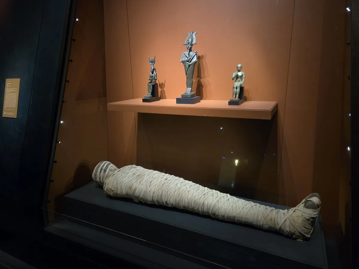 A mummified human body lies wrapped in linen bandages on a display pedestal inside a museum case. Above it, on a shelf, are…