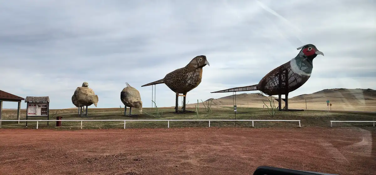 A roadside photo shows four large, wire-frame sculptures of pheasants standing in a field under an overcast sky. The…