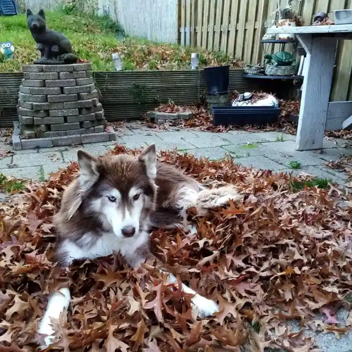 I'll See You in Heaven, Little Girl