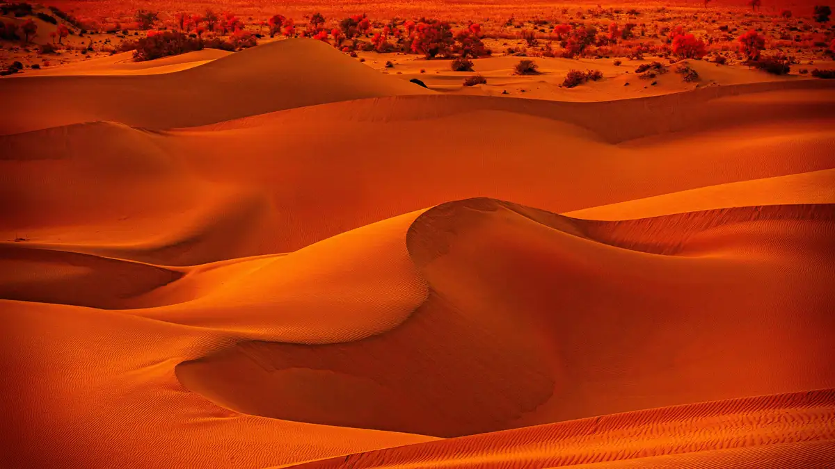 Breathtaking Beauty: The Splendor of a Desert Sunset