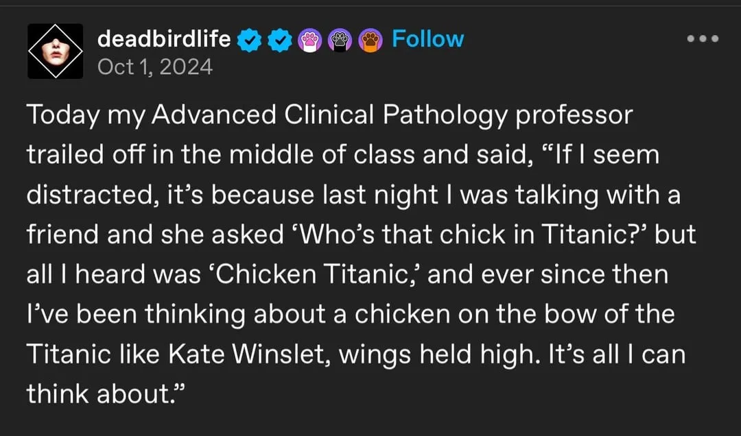 The image shows a screenshot of a social media post by 'deadbirdlife' dated October 1, 2024. The post contains a humorous…