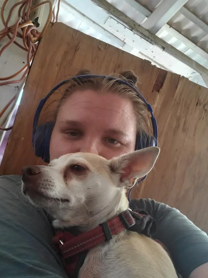 A person wearing blue over-ear headphones holds a small, light-colored chihuahua close to their chest. The dog, wearing a…