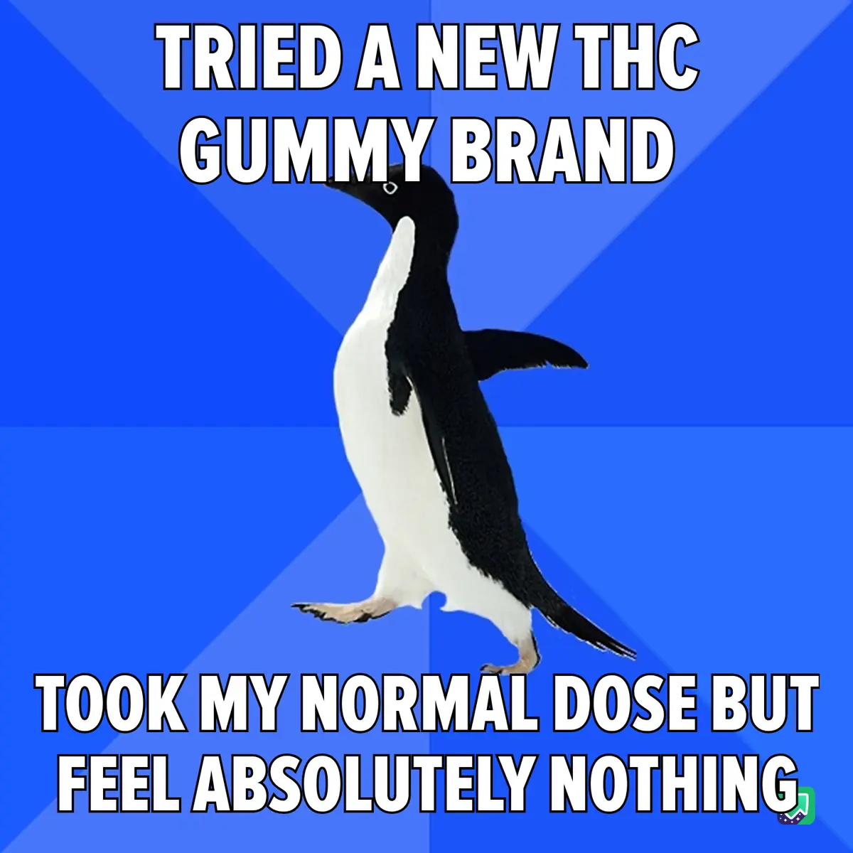 A black-and-white penguin stands upright against a blue background with diagonal light rays. The text at the top reads…