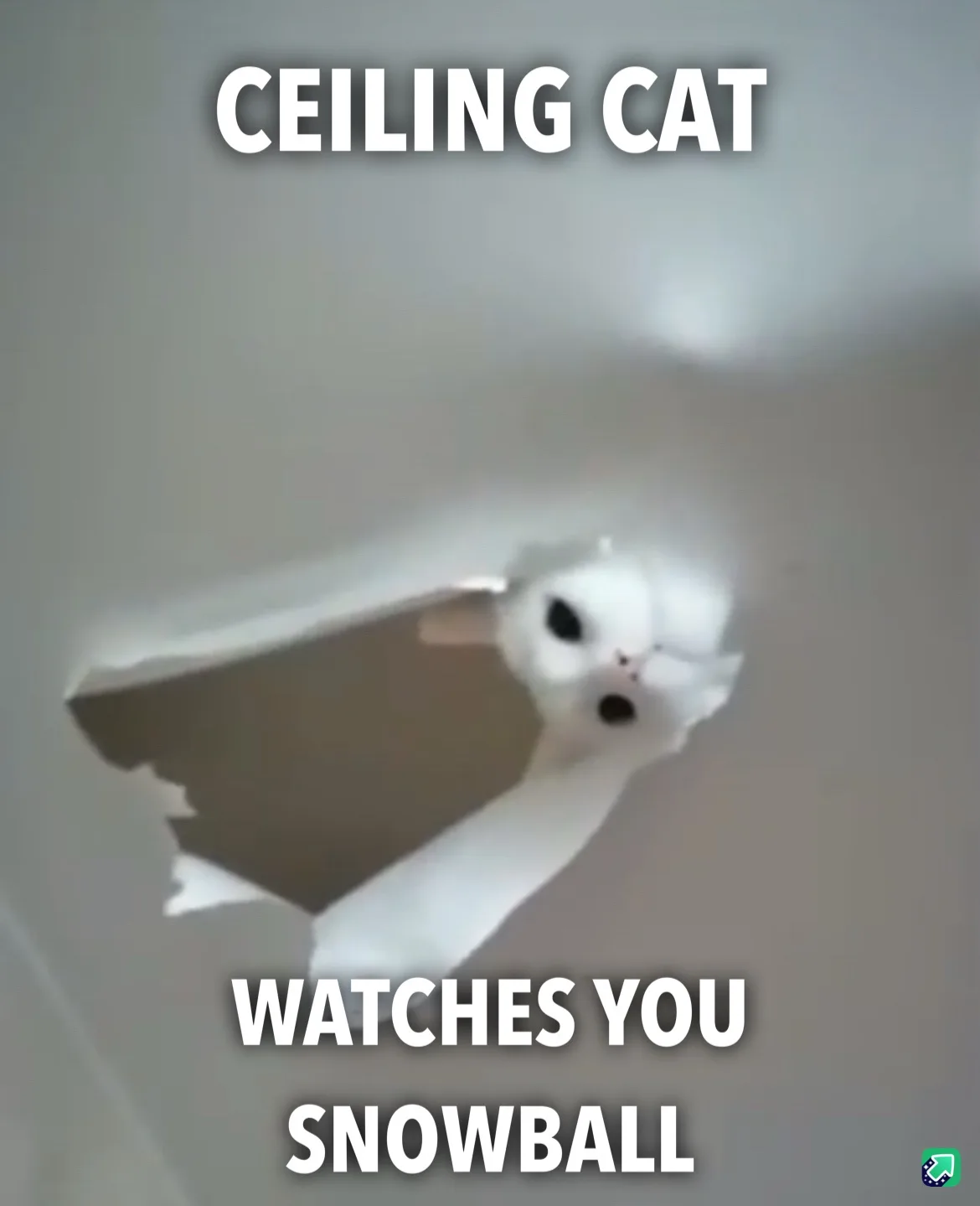 You keep doing it despite everything else!