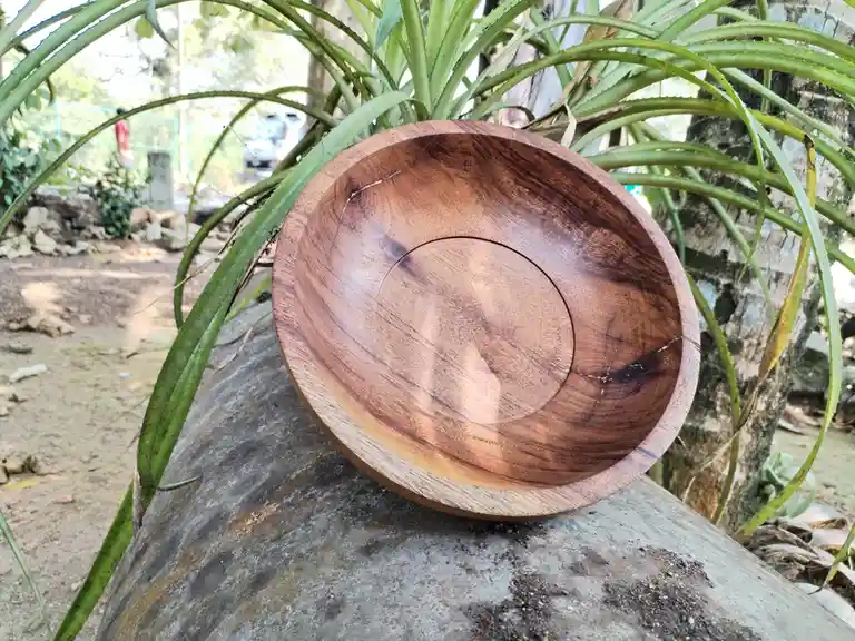 A handcrafted wooden bowl with visible grain and a circular inlay sits outdoors on a weathered concrete surface, surrounded…