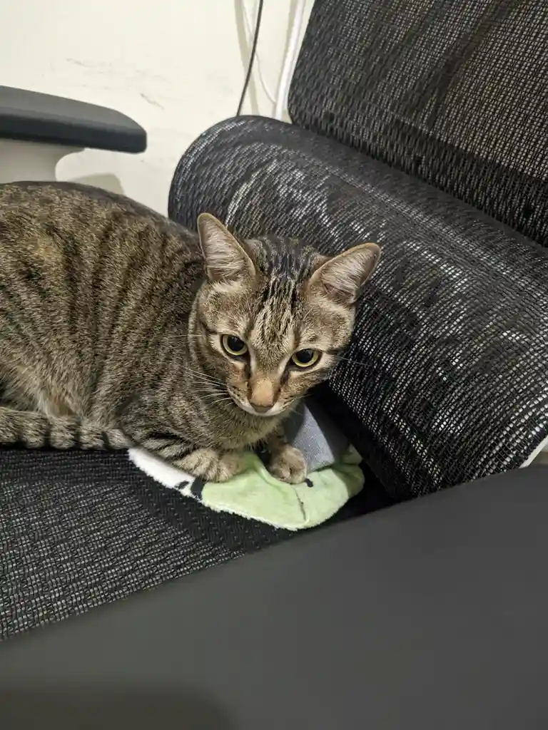 Just Me, Relaxing in My Chair