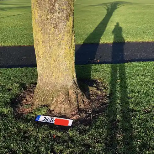 A close-up photo shows a tree trunk with a partially obscured Irish license plate (IRL) lying on the grass at its base. The…