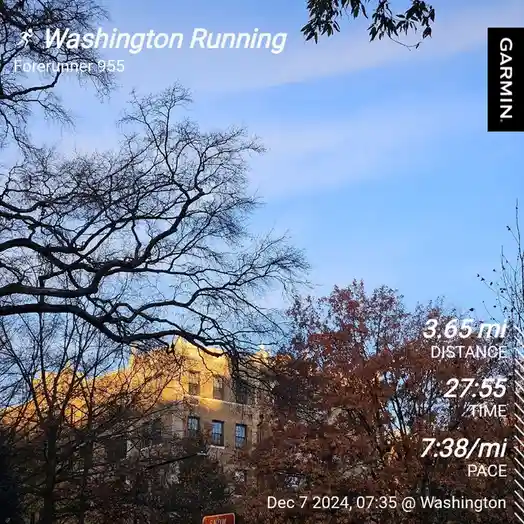 A screenshot of a Garmin Forerunner 955 running watch displaying a workout summary over a scenic photo of trees and a…