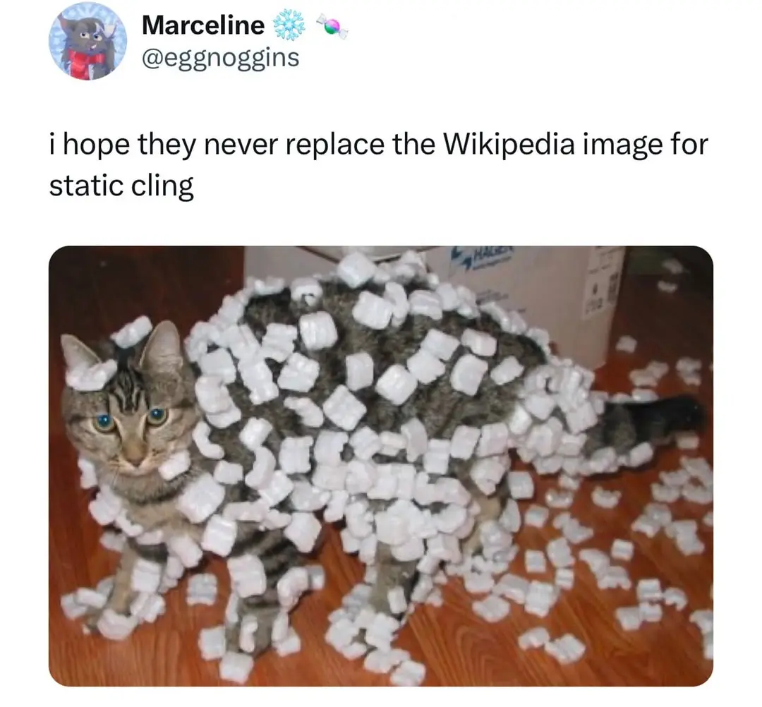 A tabby cat stands on a wooden floor covered in white packing peanuts that are stuck to its fur, creating a static cling…
