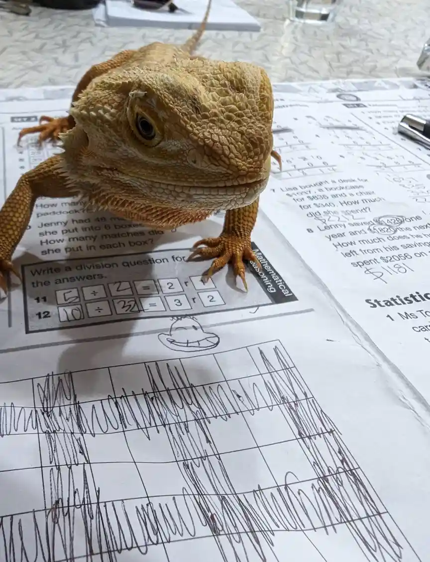 A tan bearded dragon is perched on a math worksheet filled with problems and scribbled answers, looking directly at the…