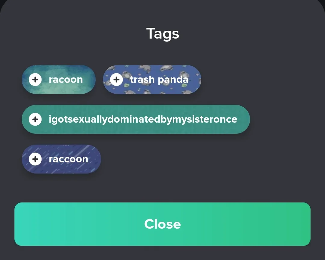 A screenshot of a digital tagging interface showing a list of tags including 'raccoon', 'trash panda', and the long text…