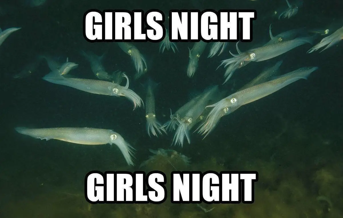 An underwater photograph shows a school of translucent squid swimming in dark water, with the bold white text 'GIRLS NIGHT'…